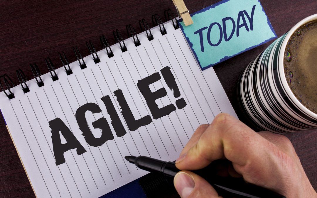 Agility Today: Four Key Principles That Deliver Better Strategic Outcomes